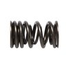 SPRING-HONDA KA20A/K20Z - image 3