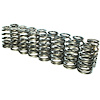 NexTek H.P. Valve Springs 4.6/5.4L SOHC 2V - image 1
