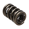 NexTek Oval Track/Endurance Valve Spring 1.530" O.D. - image 1