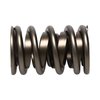 NexTek Oval Track/Endurance Valve Spring 1.530" O.D. - image 3