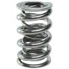 Polished NexTek H.P. Valve Spring GM LS-series - image 1