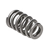Super Finished NexTek H.P. Valve Springs GM LS-series - image 1