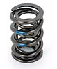 NexTek Oval Track/Endurance Valve Spring 1.570" O.D. - image 1