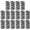 Polished NexTek Oval Track/Endurance Valve Springs 1.570" O.D. - image 1