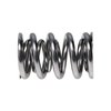 Polished NexTek Oval Track/Endurance Valve Springs 1.560" O.D. - image 3