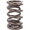 NexTek Oval Track/Endurance Valve Spring 1.610" O.D. - image 1