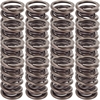 NexTek Oval Track/Endurance Valve Springs 1.610" O.D. - image 1