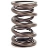 NexTek Oval Track/Endurance Valve Spring 1.610" O.D. - image 2