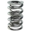 Polished NexTek Oval Track/Endurance Valve Springs 1.620" O.D. - image 2