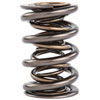 NexTek Drag Race Valve Spring 1.677" O.D. - image 2