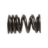 SPRING-HONDA F20C/F22C - image 3