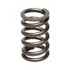 SPRING-NISSAN PATROL TB48 - image 2