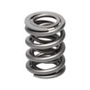 NISSAN KA24DE SPRING - image 2