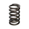 SPRING-NIS SR20DE/SR20DET - image 2