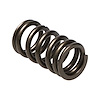 SPRING-NISSAN VQ35DET - image 1