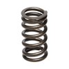 SPRING-NISSAN VQ35DET - image 2