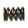 Street Master Valve Springs 1.550" O.D. - image 3