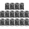 Street Master Valve Springs 1.437" O.D. - image 1