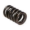 Street Master Valve Springs 1.250" O.D. - image 1