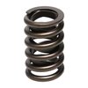 Street Master Valve Springs 1.250" O.D. - image 2