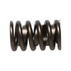 Street Master Valve Springs 1.250" O.D. - image 3