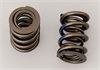 VALVE SPRING DUAL 1.625" - image 1