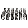 KIT-SPRING/RETAINER/LOCK - image 1