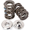 NexTek Drag Race Springs & Titanium Retainer Kit 1.640" O.D. Springs, p/n 660-221425-16 - image 1