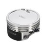 PIST-4.020/1.315 CD/DISH - image 3