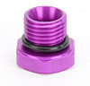 Fuel Gauge Port Adapter Plug - image 1