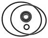 Pro Star 500 Seal Kit - image 1