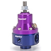 ProStar EFI Large 2-Port Regulator - image 1
