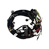 BS4-006-007 GEN4 Chevrolet LS2/LS7 Main Engine Harness w/EV1 Fuel Injector Harness - image 1