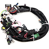 BS4-006-013 GEN4 Chevrolet Universal Coil-On-Plug Main Engine Harness w/EV1 Fuel Injector Harness