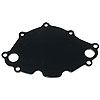 Back Plate Only Small Block Ford 221-289 Early Style - image 1