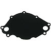 Back Plate Only Small Block Ford 289/302/351W & 5.0L - image 1
