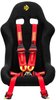 SR6 Series Racing Harness - image 2