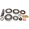 BRG SEAL KIT FORD 9.75 RING GEAR - image 1