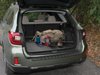 CARGO LINERS - image 3