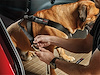 TRAVEL SAFE HARNESS - image 1