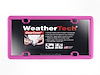 ClearCover License Plate Cover - Hot Pink Frame - image 1