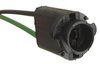 29638 Pigtail, 1997-2004 Chevy Corvette, Auto Transmission Shift Indicator Light Socket - image 2