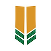 78527 Stripe Winglets, 2014-2019 Chevy Corvette, Matte Orange Gloss Green - image 1