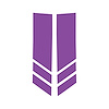 78531 Stripe Winglets, 2014-2019 Chevy Corvette, Matte Purple Matte Purple - image 1