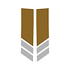 78534 Stripe Winglets, 2014-2019 Chevy Corvette, Matte Gold Gloss Gray - image 1