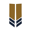 78535 Stripe Winglets, 2014-2019 Chevy Corvette, Matte Gold Gloss Blue - image 1