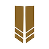 78537 Stripe Winglets, 2014-2019 Chevy Corvette, Matte Gold Matte Gold - image 1
