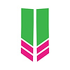 78541 Stripe Winglets, 2014-2019 Chevy Corvette, Matte Lime Green Gloss Pink - image 1