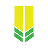 78548 Stripe Winglets, 2014-2019 Chevy Corvette, Gloss Yellow Matte Lime Green - image 1