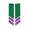 78549 Stripe Winglets, 2014-2019 Chevy Corvette, Gloss Green Matte Purple - image 1